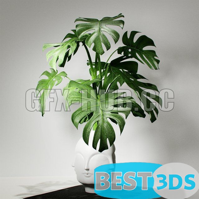 Pack model 3D- Vase – Image 53