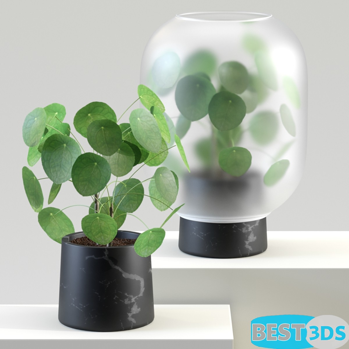 Pack model 3D- Vase – Image 54