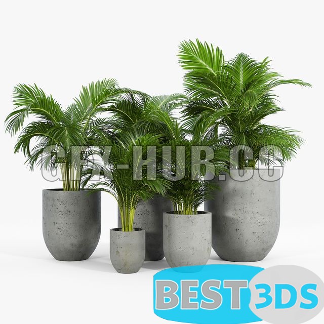 Modèle 3D de Neo Planter