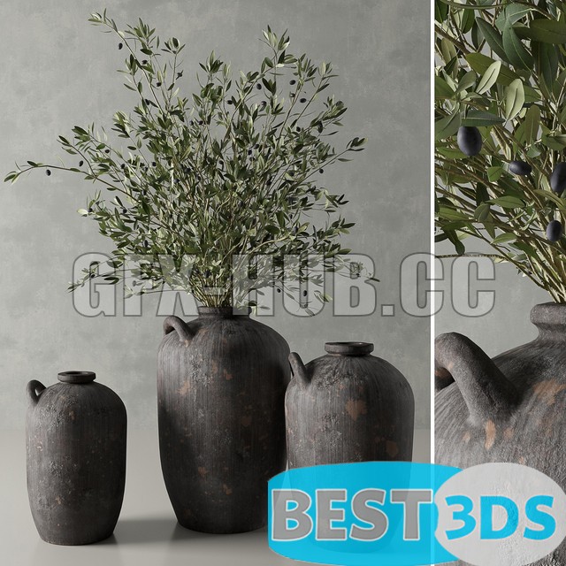 Modèle 3D de Olive in a Spanish Water Vessel by Restoration Hardware