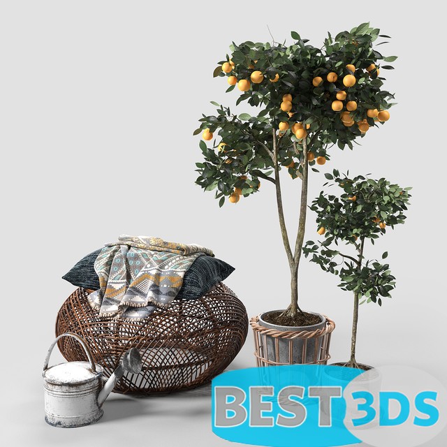Pack model 3D- Vase – Image 58