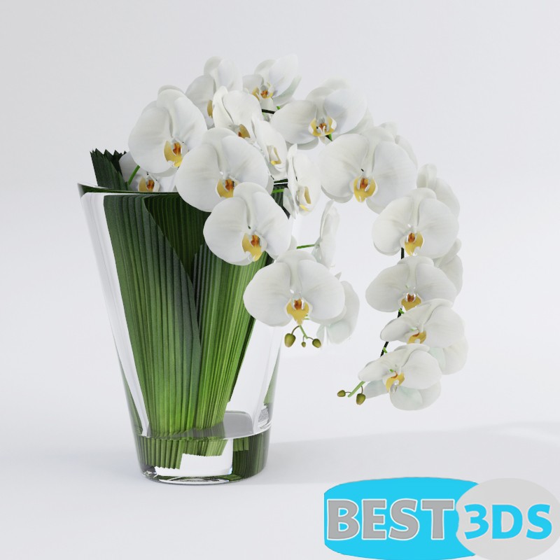 Pack model 3D- Vase – Image 59
