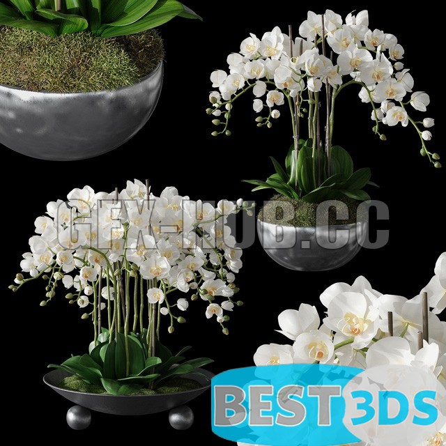 Pack model 3D- Vase – Image 60