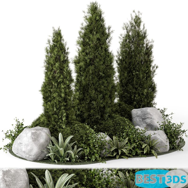 Pack model 3D- Buisson