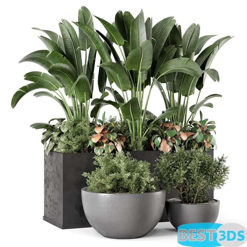 Modèle 3D de Outdoor Garden set Bush and Tree – Garden Set 1144