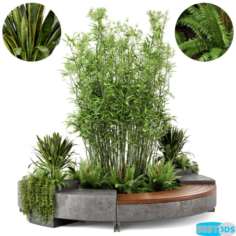 Ensemble Jardin – Arbustes & Arbre – Set 55