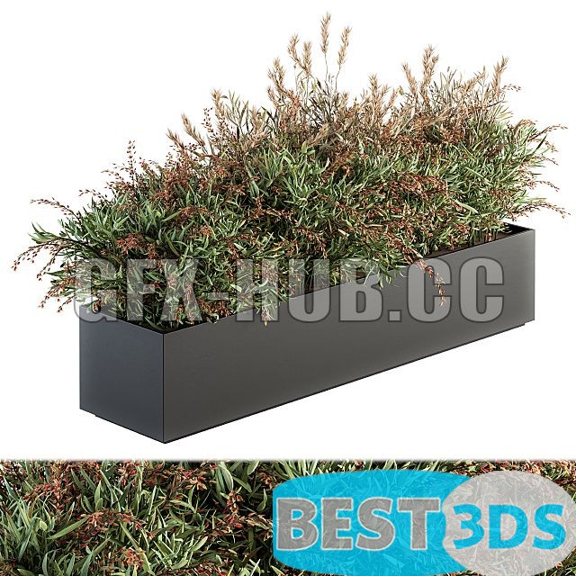 Modèle 3D de Outdoor Plant Set 166 Plant Box Bush
