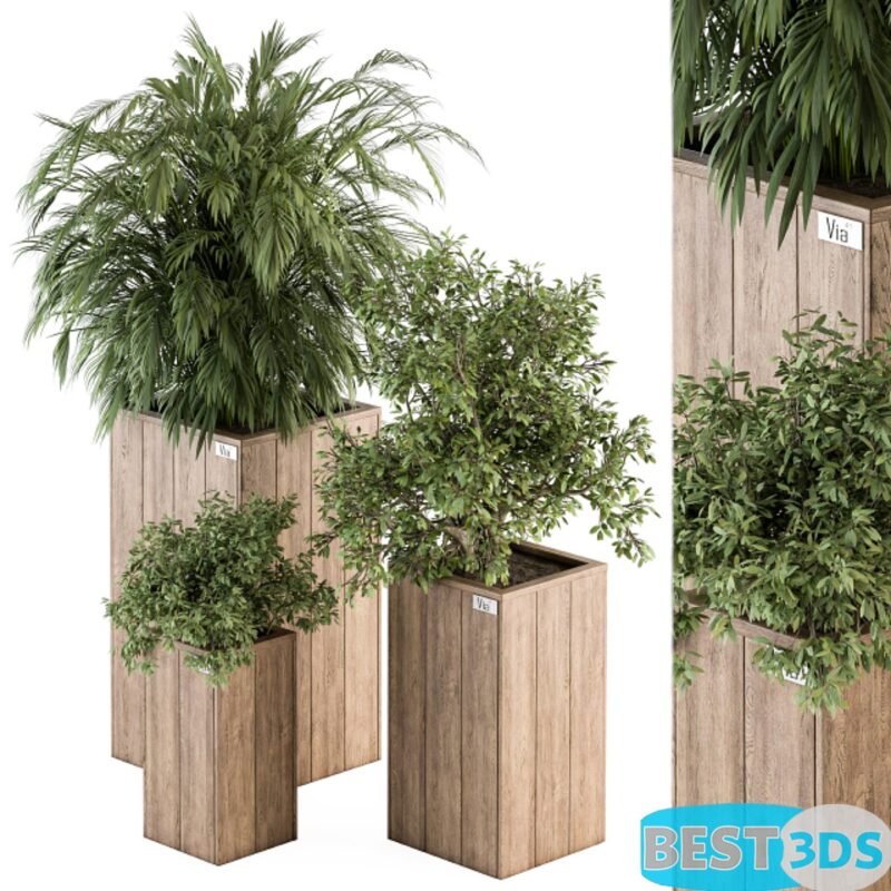Modèle 3D de Outdoor Plant Set 297