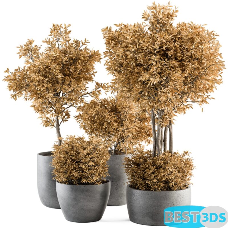 Modèle 3D de Outdoor Plant Set 322