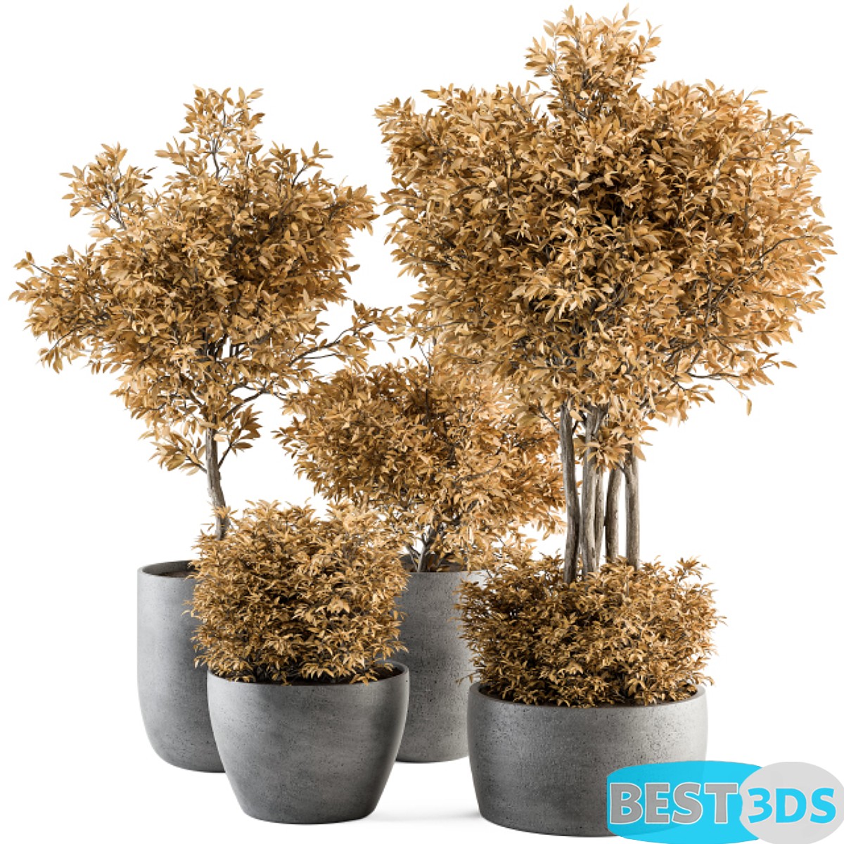Modèle 3D de Outdoor Plant Set 322