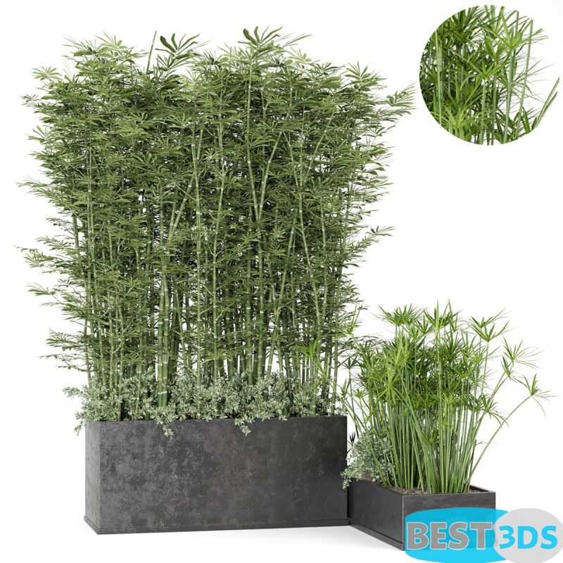 Modèle 3D de Outdoor Plants Bamboo in rusty Concrete Pot – Set 246