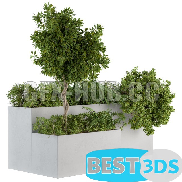 Modèle 3D de Outdoor Plants Concrete Box Set 45 (for environment)