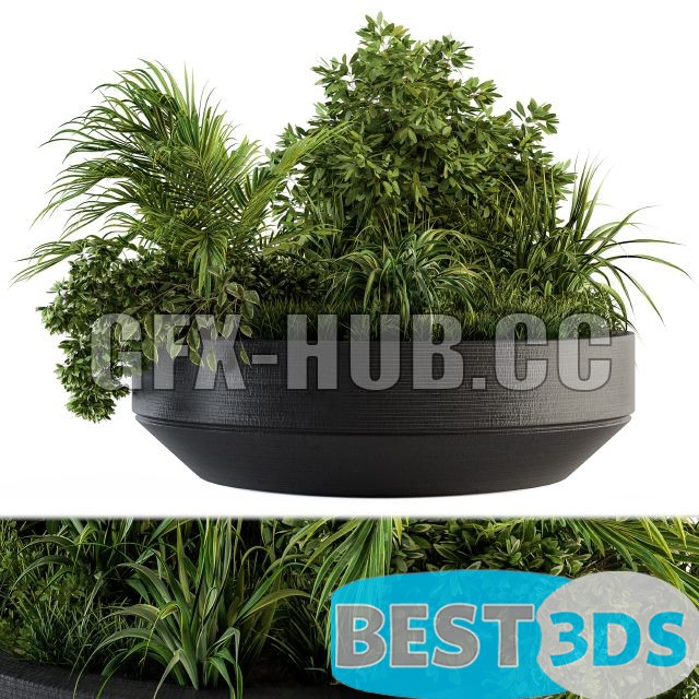 Modèle 3D de Outdoor Plants Tree in Concrete Pot Set 144