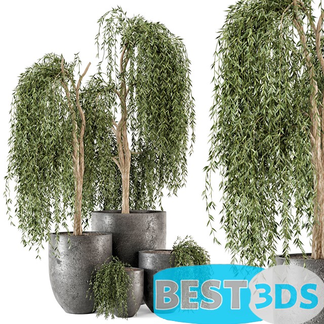 Modèle 3D de Outdoor Plants bush and Tree in rusty Dark Concrete Pot – Set 52