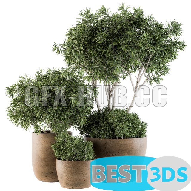 Modèle 3D de Outdoor Plants decorative tree in Concrete flowerpot Set 111