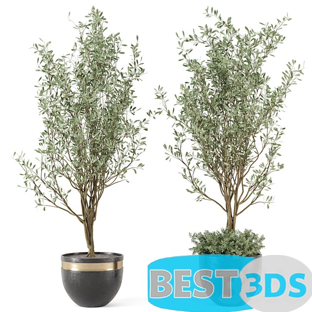 Modèle 3D de Outdoor bush and Tree in rusty Concrete Pot – Set 204