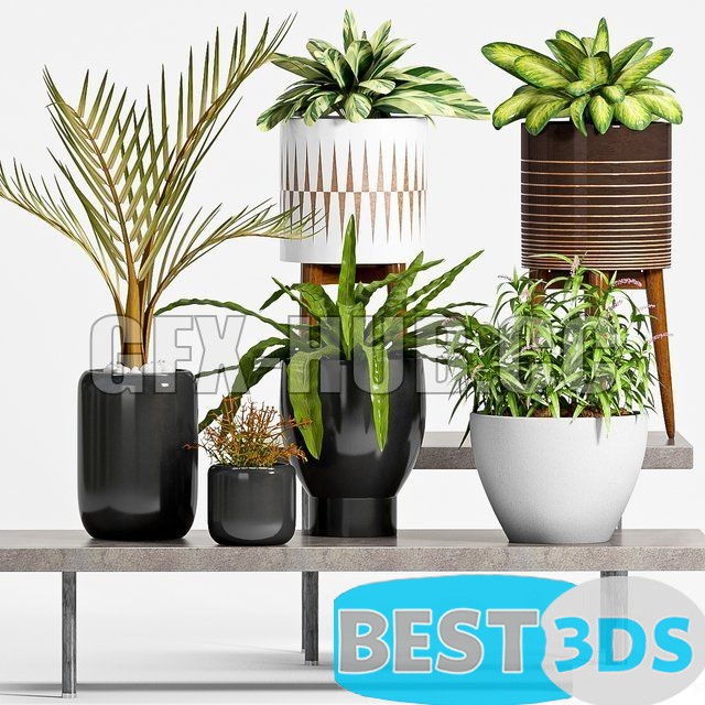 Modèle 3D de PLANT – 50