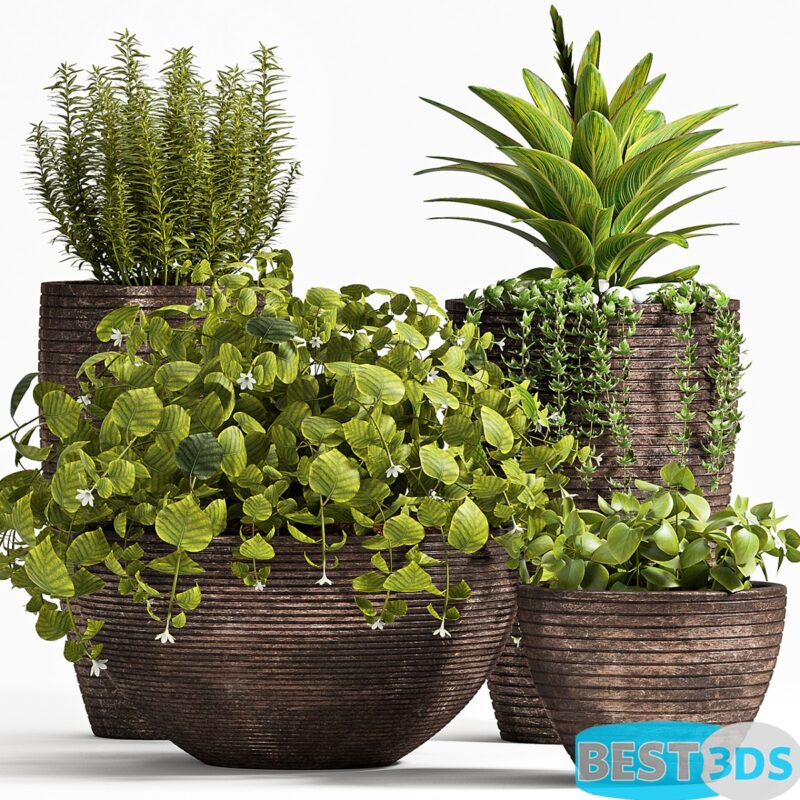 Modèle 3D de PLANT SET -101