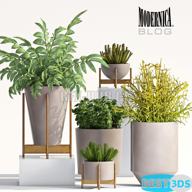 Modèle 3D de PLANT SET-66