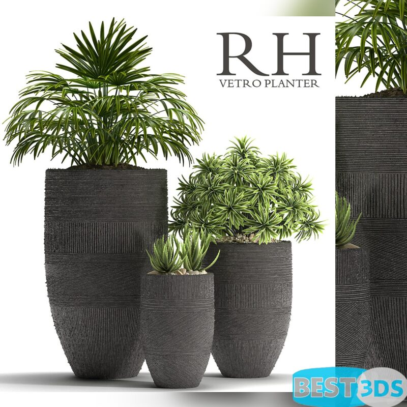 Modèle 3D de PLANTS 42 RH Vetro