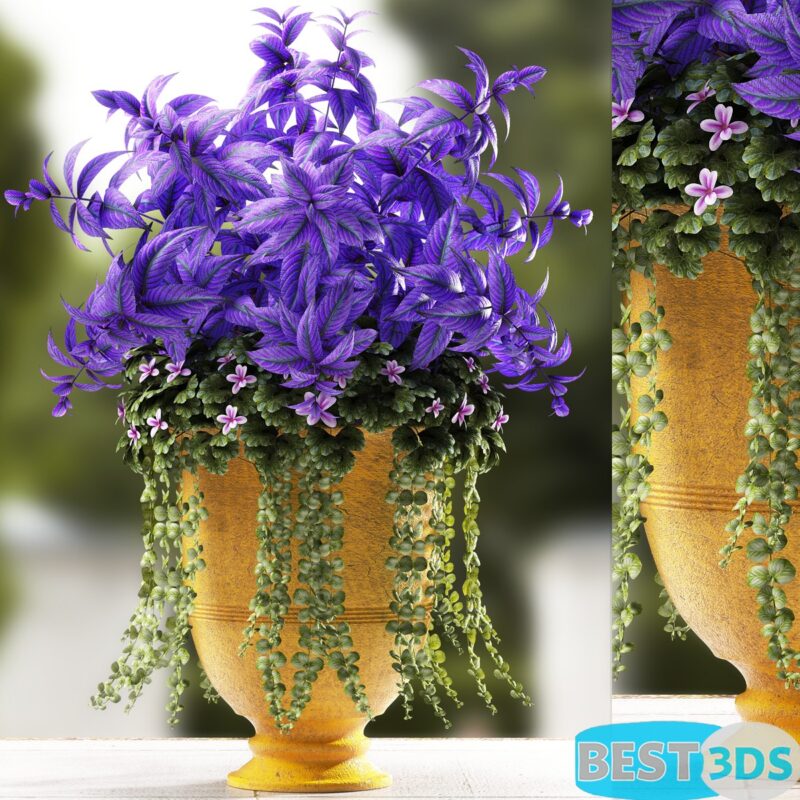 Pack model 3D des Plantes