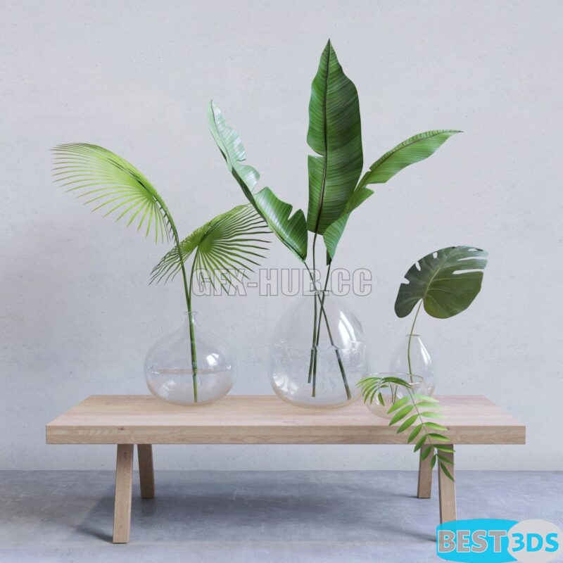 Plantes décoratives en pot