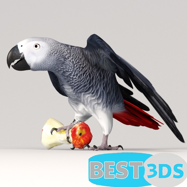 Pack model 3D- Autres Objet Décorative – Image 91