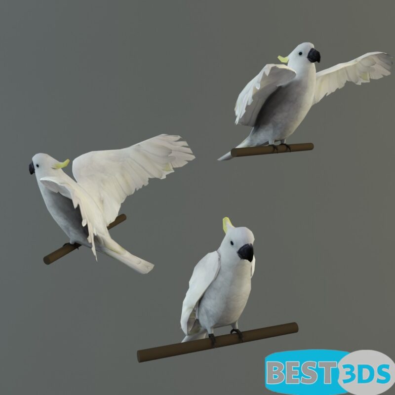 Objet décoratif 89
