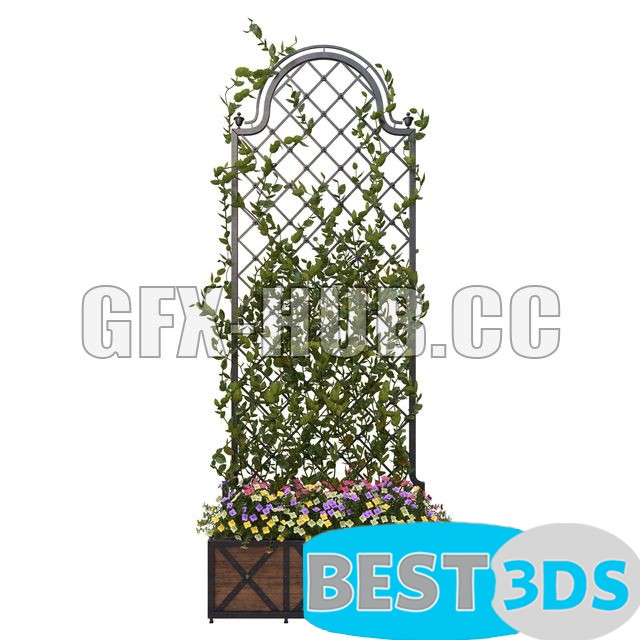 Pergola avec Fleurs 1