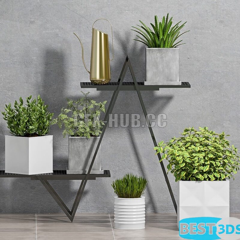 Modèle 3D de Plant set – 76-1