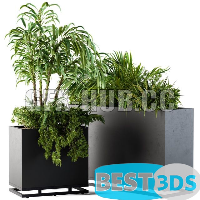 Modèle 3D de Plant Box Metal Compact 04