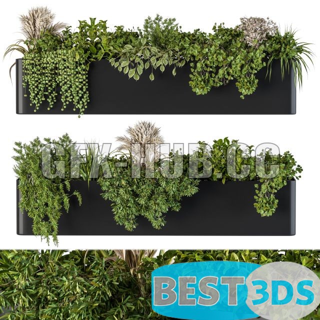 Modèle 3D de Plant Box on Wall 04