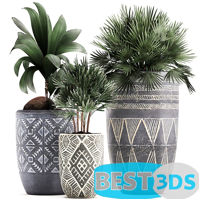 Modèle 3D de Plant Collection 475