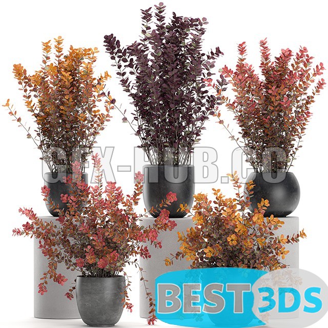 Modèle 3D de Plant Collection 698