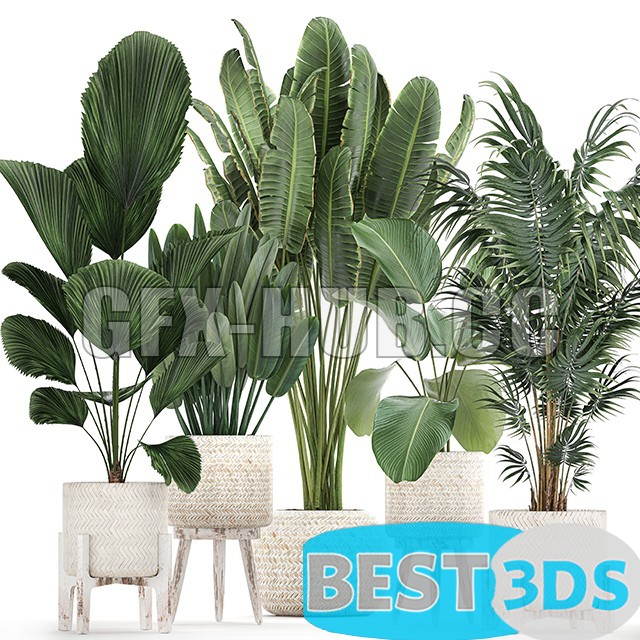 Modèle 3D de Plant Collection 713 Scandinavian style