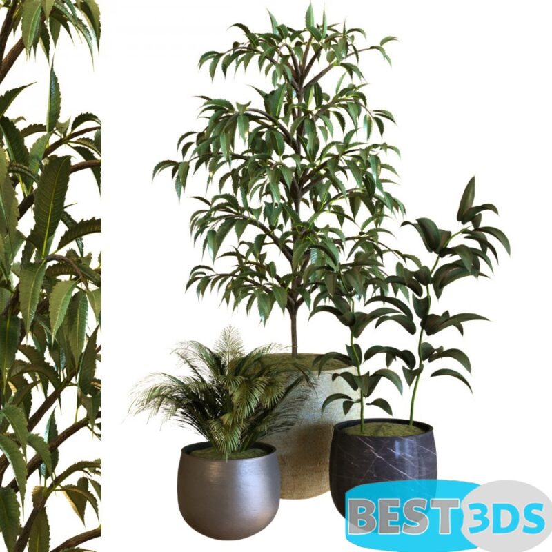 Modèle 3D de Plant In Box Set 040
