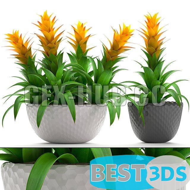 Pack model 3D- Vase – Image 48