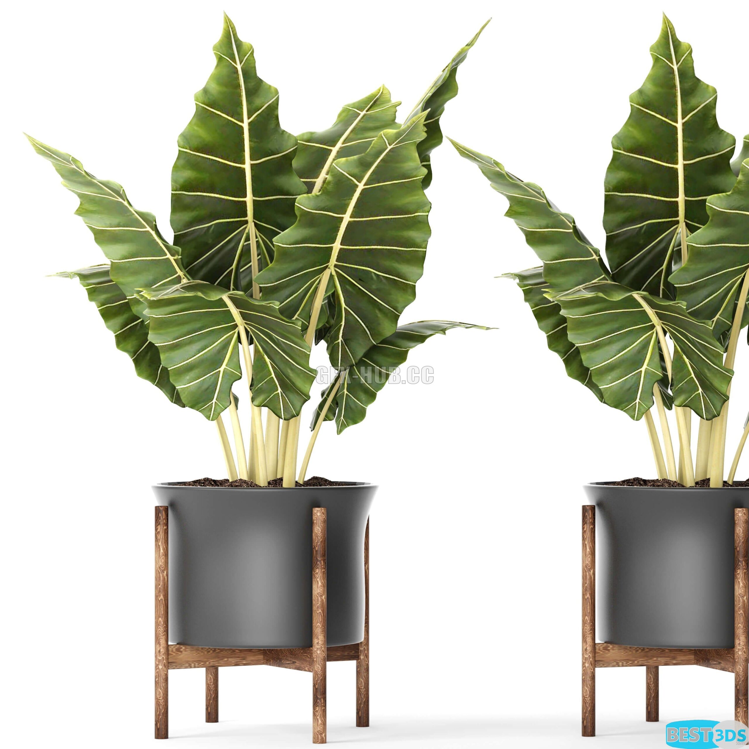Modèle 3D de Plant Pot