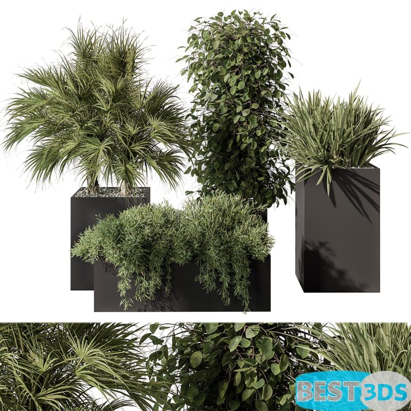Modèle 3D de Plant Set 402