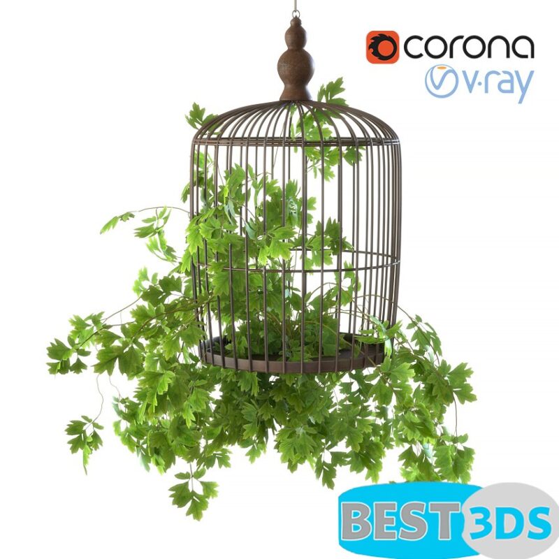 Plante décorative en pot (cellule végétale décorative)