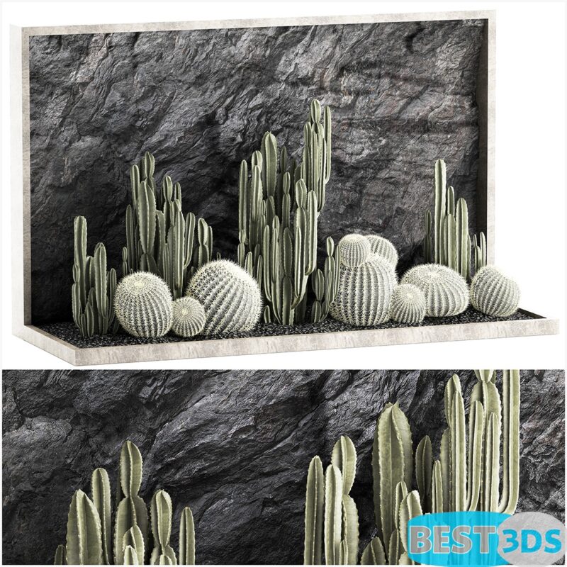 Modèle 3D de Plant collection 1279