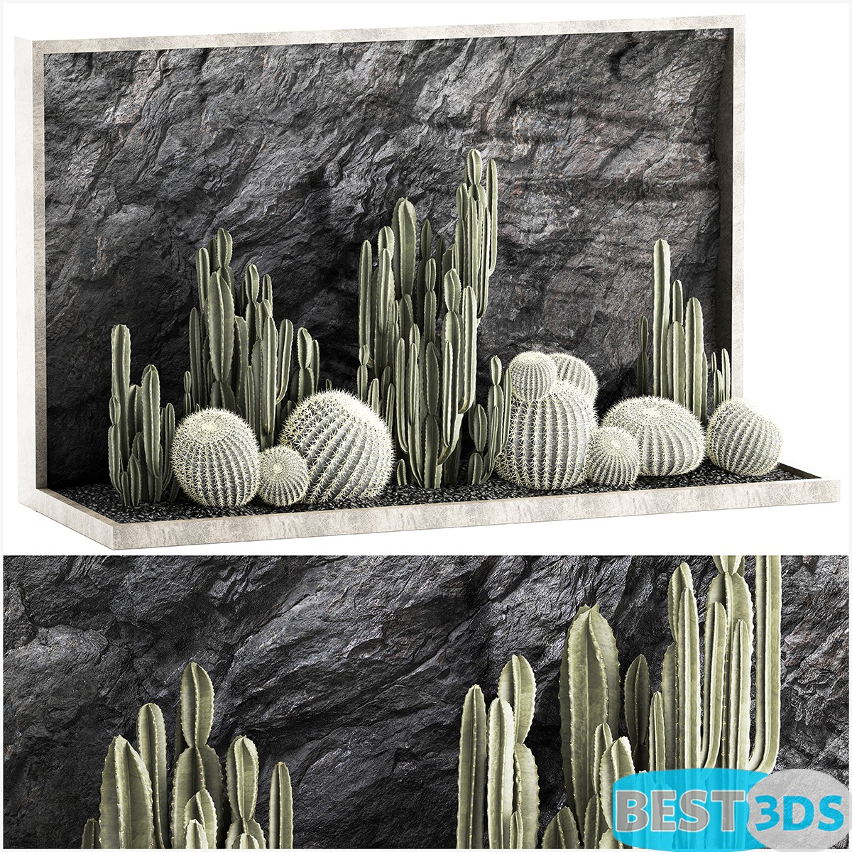 Modèle 3D de Plant collection 1279