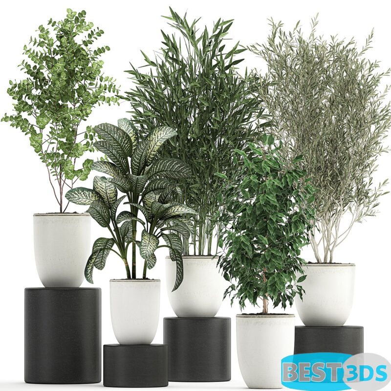 Modèle 3D de Plant collection 819