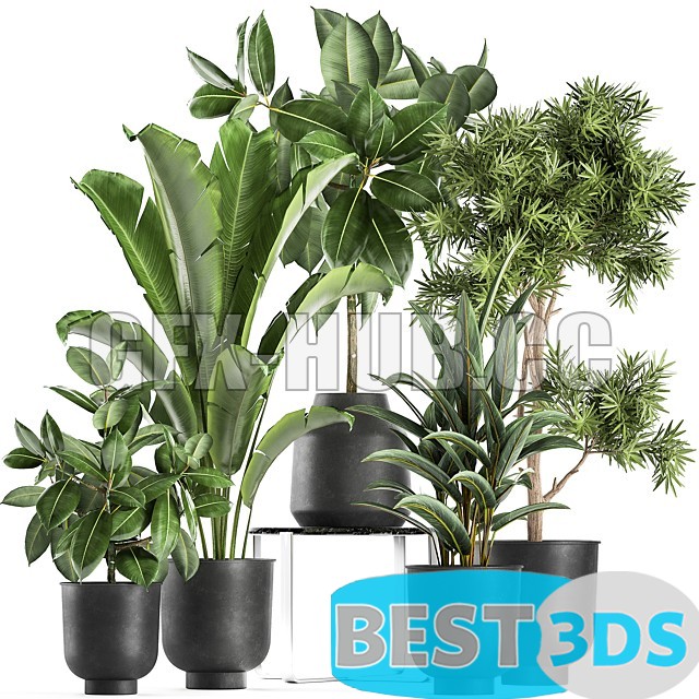 Modèle 3D de Plant collection 855 in Vig Planter pots