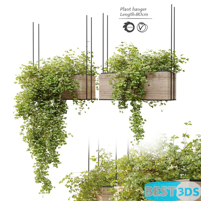 Modèle 3D de Plant hanger