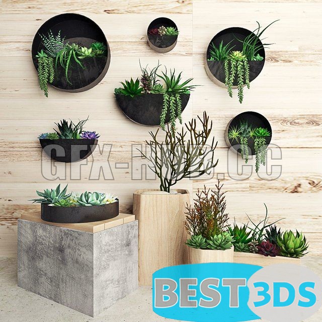 Modèle 3D de Plant on the wall