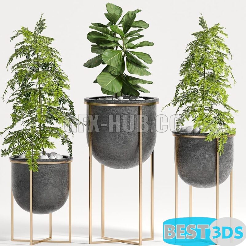 Modèle 3D de Plant set 80
