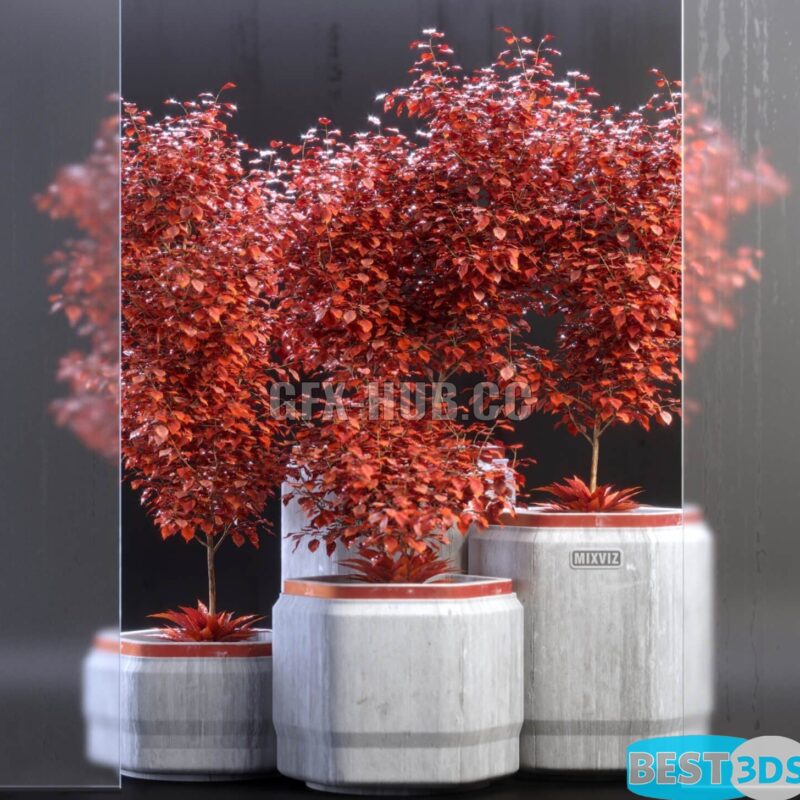 Modèle 3D de Plants 012