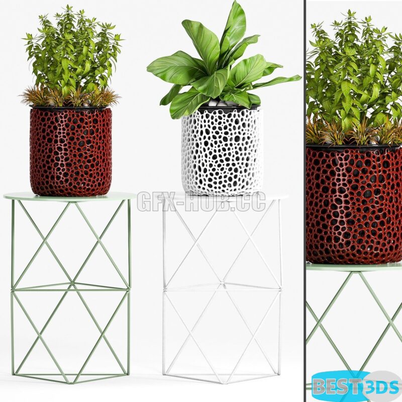 Modèle 3D de Plants 44