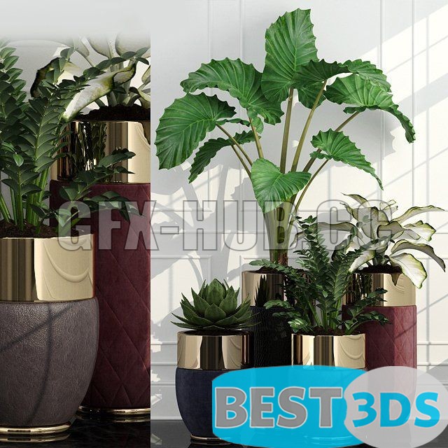 Modèle 3D de Plants 47